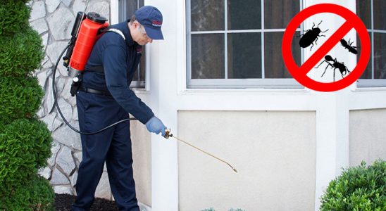 Samandağ Fare İlaçlama böcek ilaçlama ve haşere kontrolü — ilaclama-tr.com